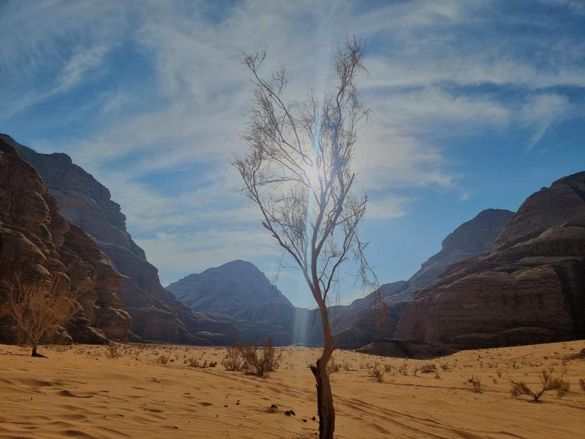 Wadi Rum Oscar Camp Extérieur photo