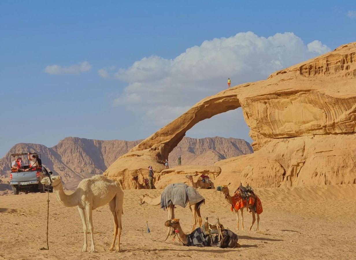 Wadi Rum Oscar Camp Extérieur photo